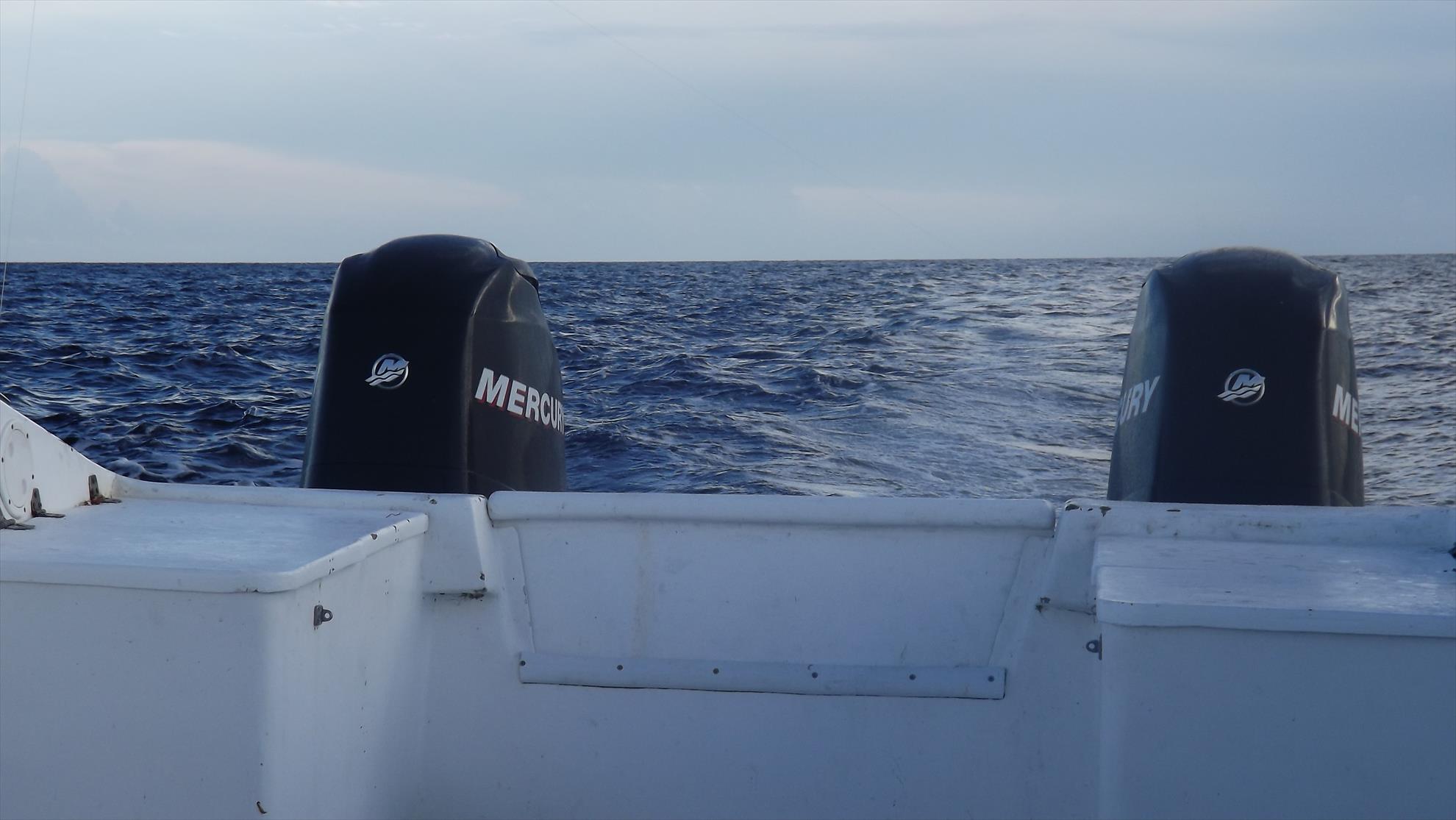 Pescuit Marea Caraibelor - dscf1827.JPG